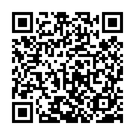 QR code for SMO 460