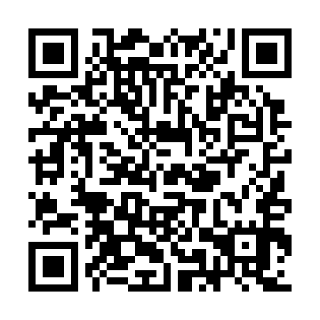 QR code for SMT 355