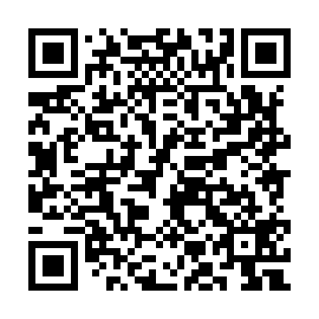 QR code for SMX 919