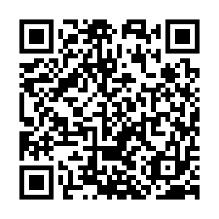 QR code for SMY 313