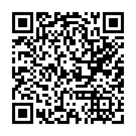 QR code for SNE 313