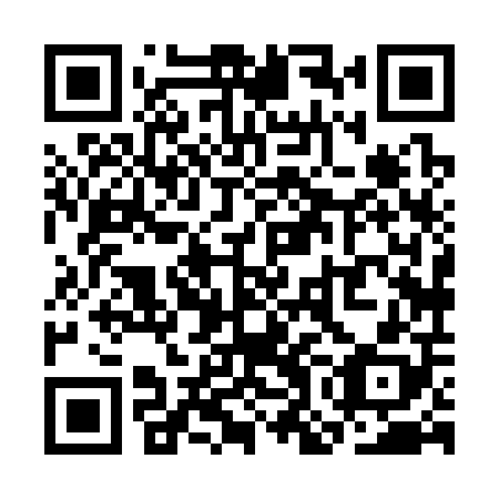 QR code for plate SOH 308