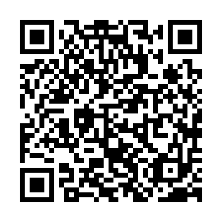 QR code for plate SOH 313