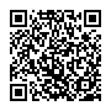 QR code for plate SOK 980