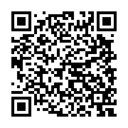 QR code for plate SON 013
