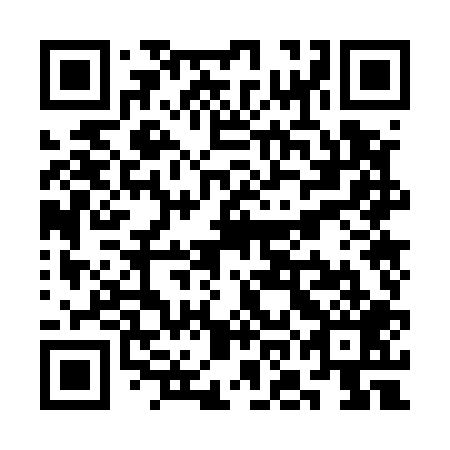 QR code for SOO 509