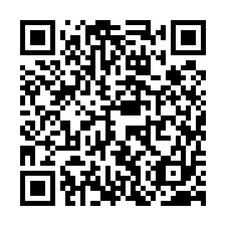 QR code for plate SOY 513