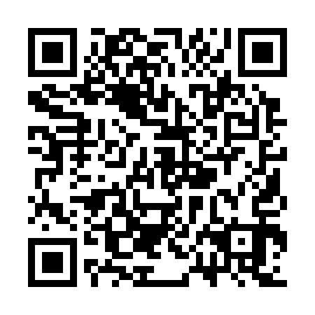 QR code for SPA 313
