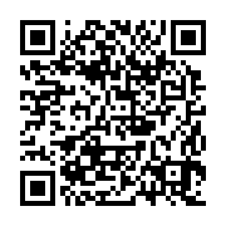 QR code for plate SPB 383