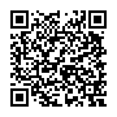 QR code for SPE 498