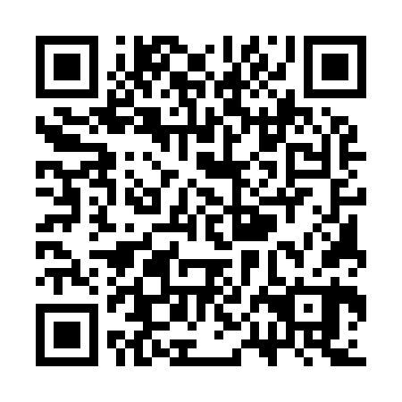 QR code for SPE 960