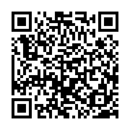 QR code for SPP 132