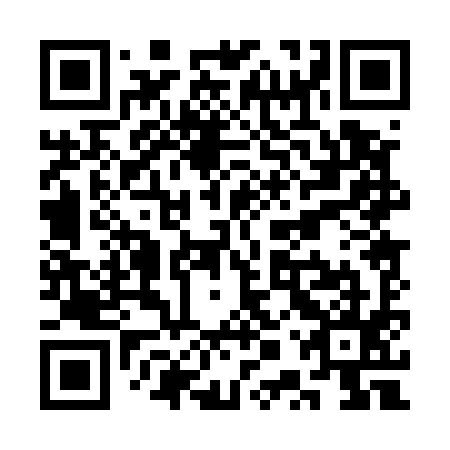 QR code for plate SPP 595