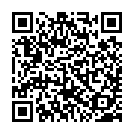 QR code for SPR789