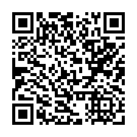 QR code for SPX493