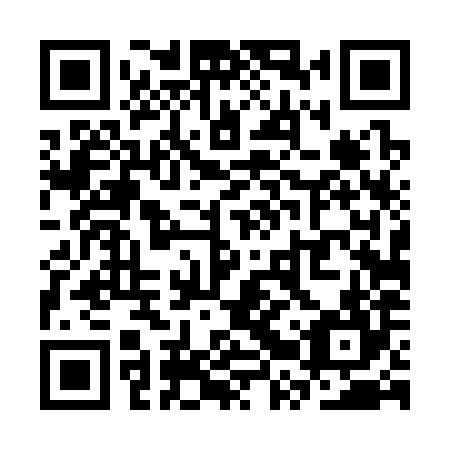 QR code for SRT384