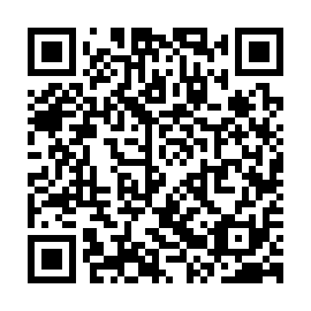 QR code for plate SRV 311
