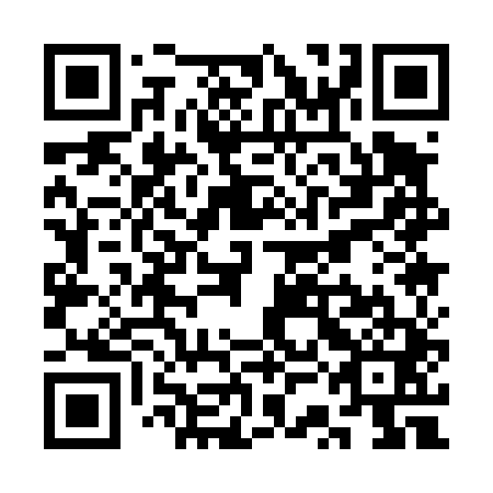 QR code for SSA 441