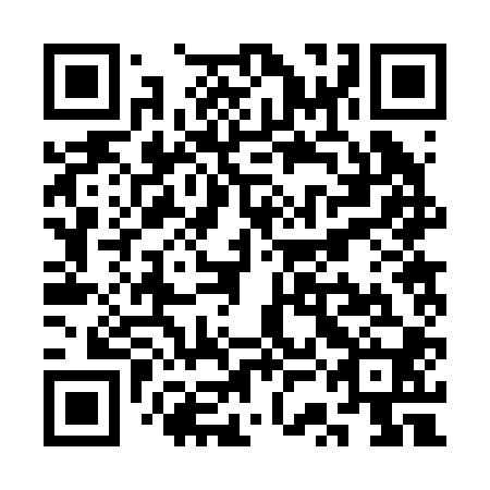 QR code for plate SSB 200