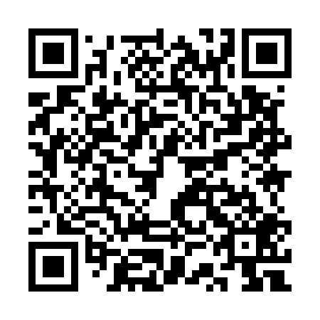 QR code for plate SSI 509