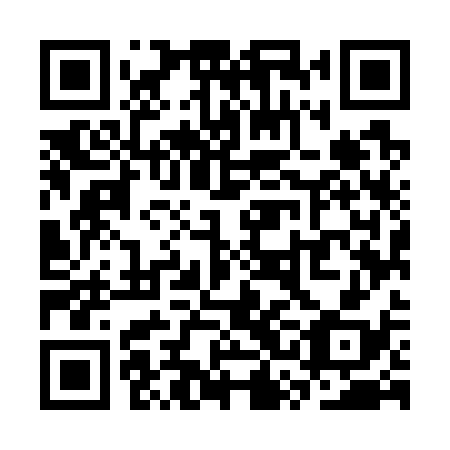 QR code for SSM 738