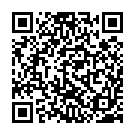 QR code for SSQ 593