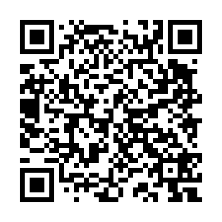 QR code for SSX428