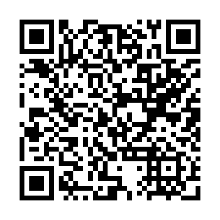 QR code for STA 919