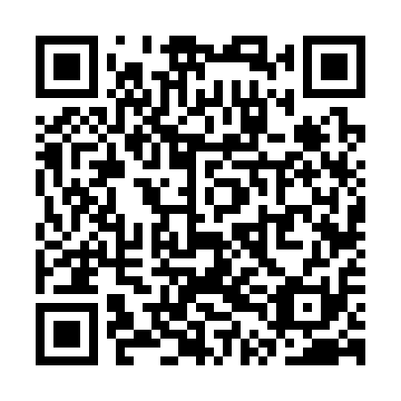 QR code for STF311