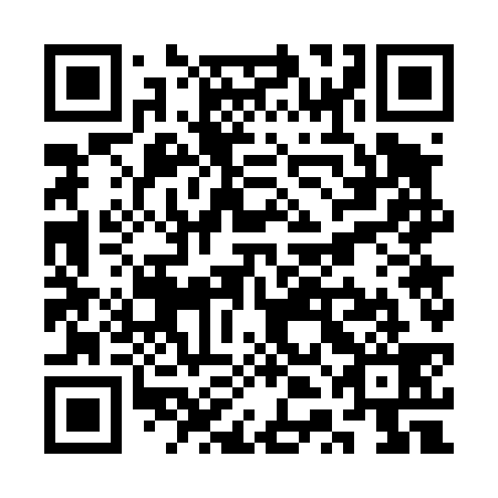 QR code for plate STG 439