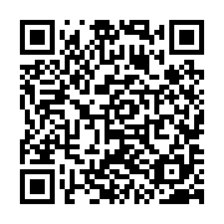 QR code for plate STN 295