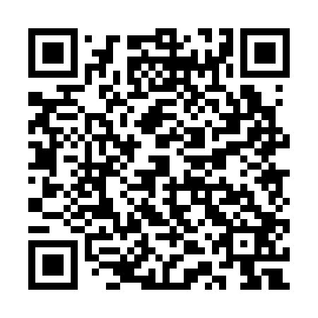 QR code for plate STP 302