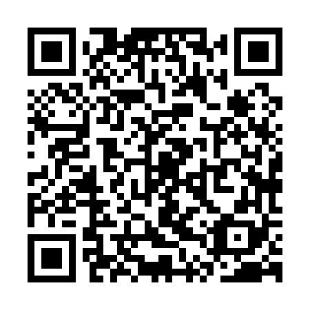 QR code for plate STX 168