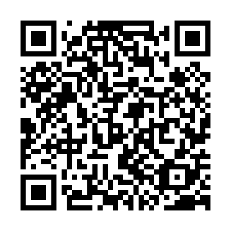 QR code for SVN 008
