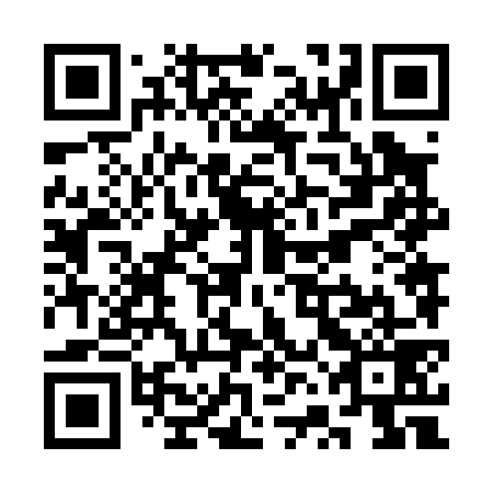QR code for SVN 079