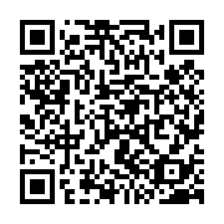 QR code for SVN438