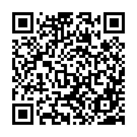 QR code for SWF 046
