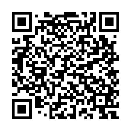 QR code for SWG 141