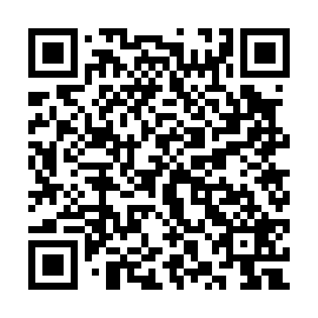 QR code for plate SXG 029