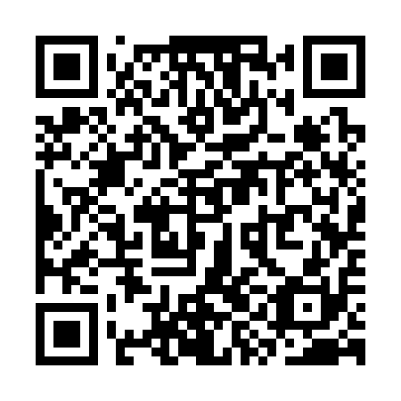 QR code for plate SYC 310