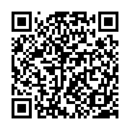 QR code for plate SYE 373