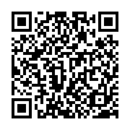 QR code for SYG 213
