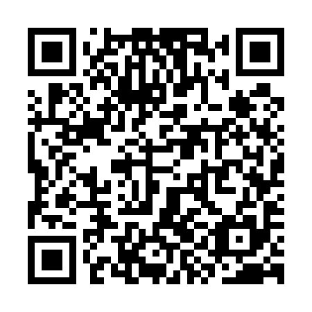 QR code for SYG 595