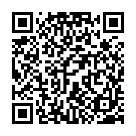 QR code for plate SYK 993