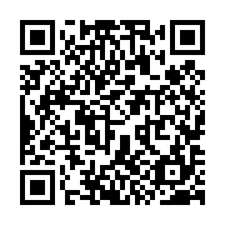 QR code for plate SYN 494
