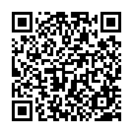 QR code for plate SYO 786