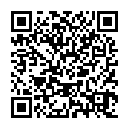 QR code for SYT 920
