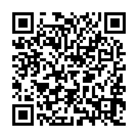 QR code for SYT 993