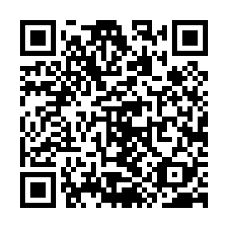 QR code for SYT029