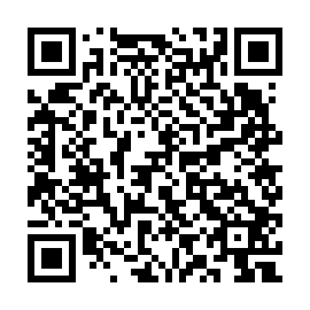 QR code for plate SYW 602